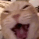 初见